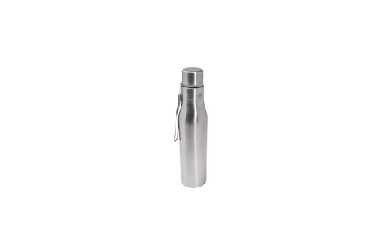 DesiDine Smart Hydration Sleek & Durable Stainless Steel Bottle